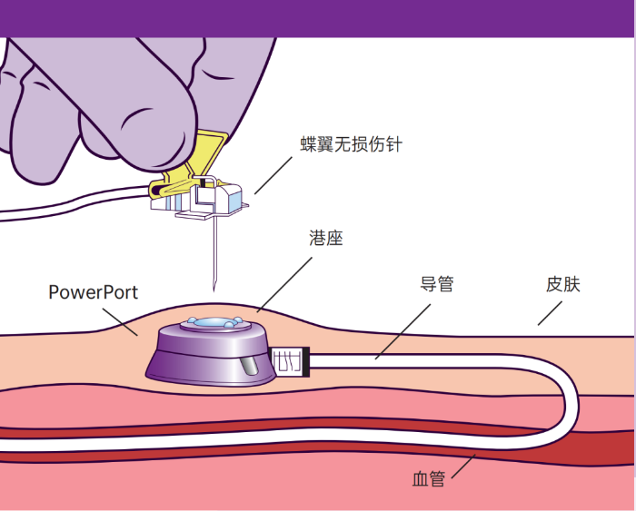 微信圖片_20240220080806.png