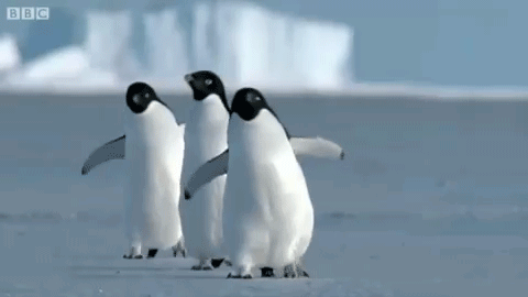 微信圖片_20240222163811.gif 微信圖片_20240222163811.gif