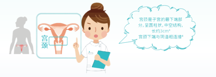 微信圖片_20240304171219.png 微信圖片_20240304171219.png