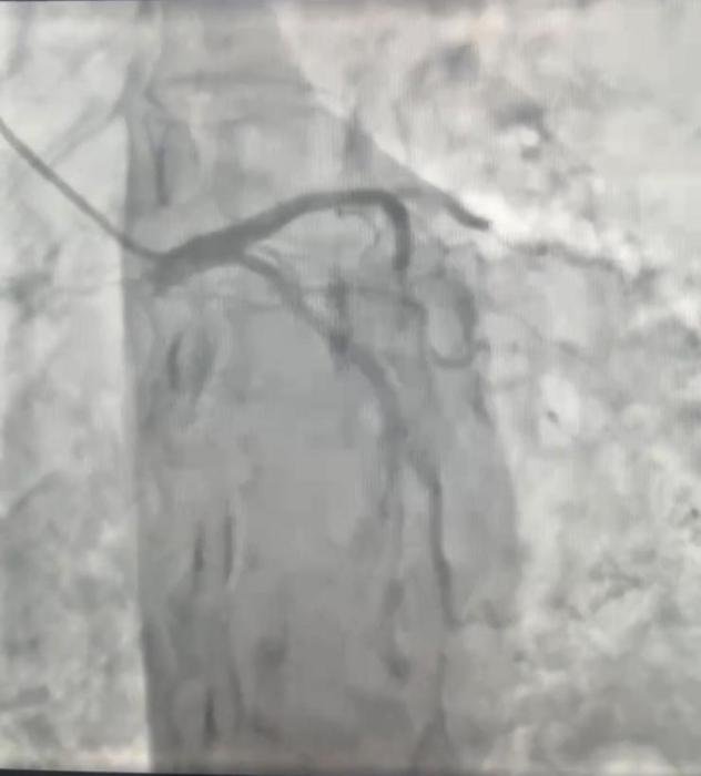 圖片1.png